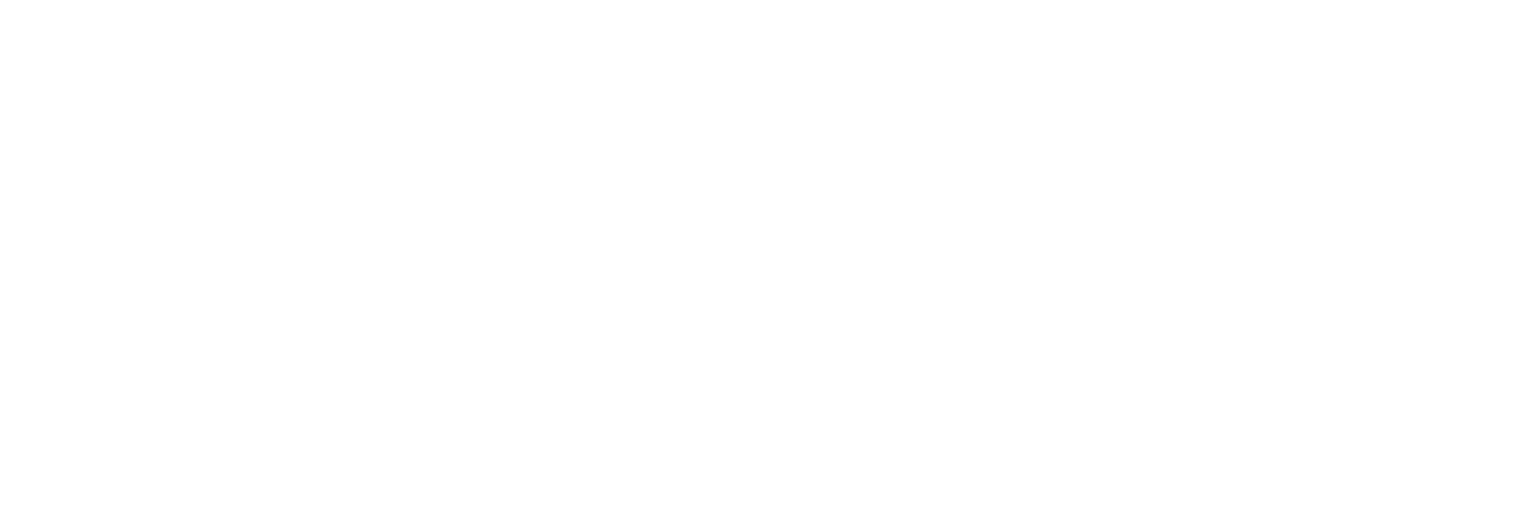 Wenzel Seguros